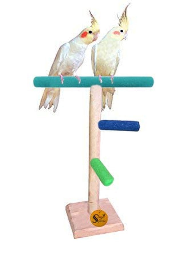Sage Square 13Inches / 33cm Natural Wood Training Cum Gym,Workout 2 Stairs Playful Perch Bird Full Sand Stand/Bird Toy - Image 1